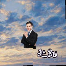 赵凯